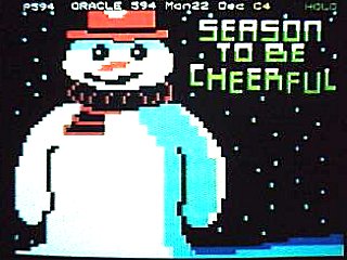 ORACLEsnowman.jpg (23302 bytes)
